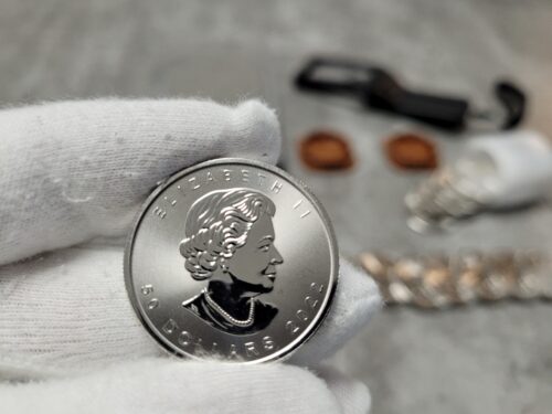 Maple Leaf 1 oz Platinmünzen kaufen