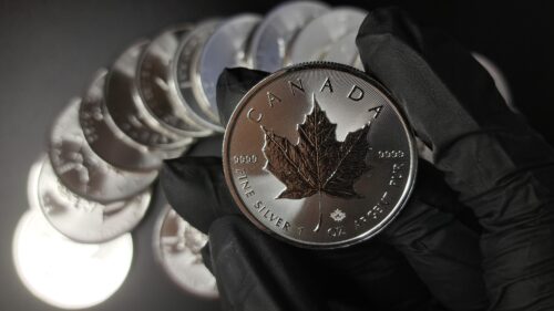Silbermünzen kaufen Maple Leaf 1 oz 2023