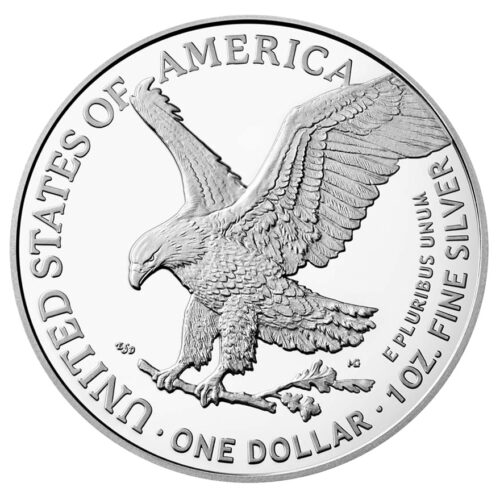 Silber kaufen American Eagle 1 oz Type 2