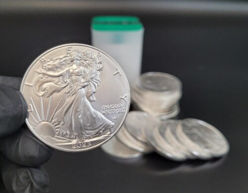 Tube 20 x 1 oz Silbermünzen kaufen American Eagle Type 2
